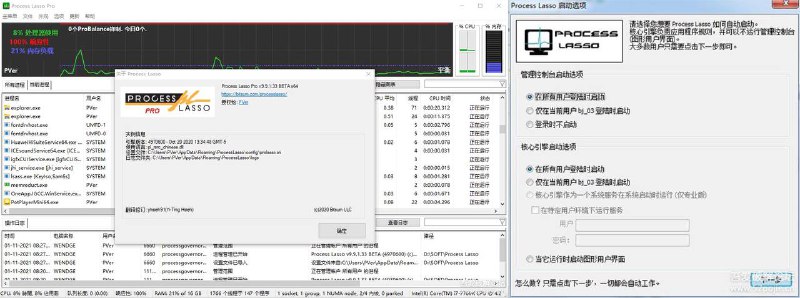 Process Lasso 专业版（最新v9.9.4.87b）