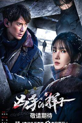 凶手的样子 (2024) 全16集 国语中字 4K 剧情 悬疑该剧讲述了沉寂多年的命案出现新线索，刑侦人员在东北冰天雪地中追查凶手的故事链接