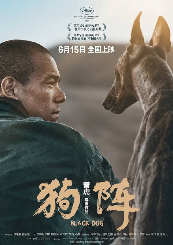狗阵 (2024) 高清正式版链接