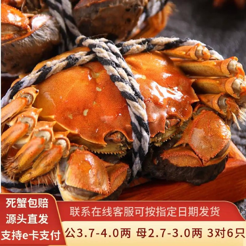 大闸蟹年货礼盒公4.0母3.0，3对6只付128元